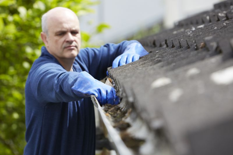 Clogged Gutter Clearing in Annapolis, MD