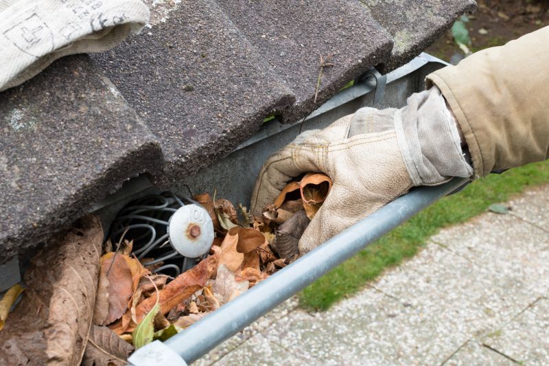 Gutter Cleaning in Monmouth County, NJ