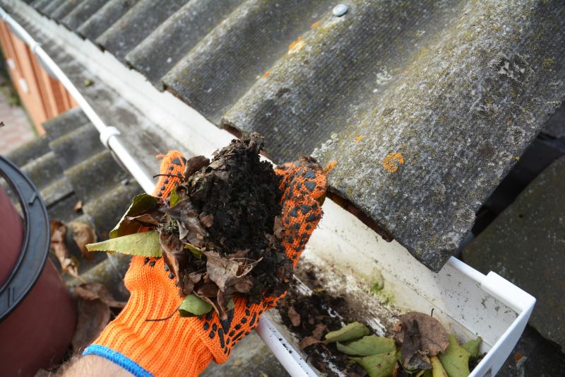 Gutter Maintenance in Longmont, CO