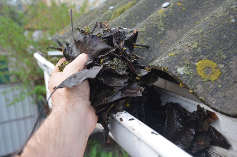 Gutter Pine Needle Removal in Rochester, NY