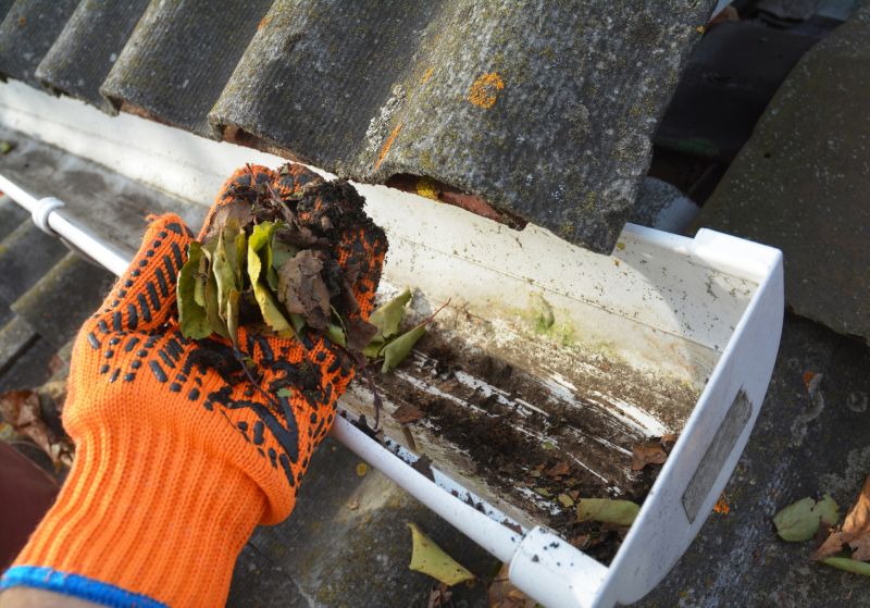 Rain Gutter Clearing in Bergen County, NJ