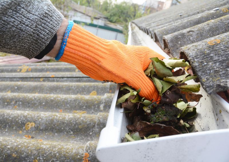 Roof Gutter Cleaning in Pittsburgh, PA